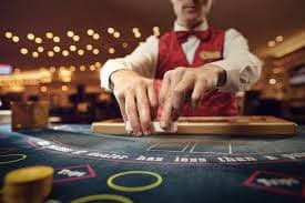 live casino gameplay